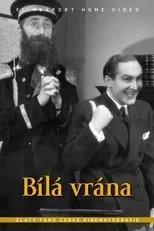 Póster de Bílá vrána