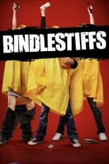 Póster de Bindlestiffs