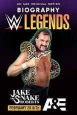Póster de Biography: Jake 'The Snake' Roberts