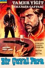 Póster de Bir Çuval Para