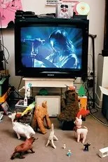 Póster de Björk: Cambridge 1998