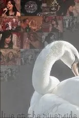 Póster de Björk: Live at Riverside Church