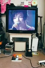Póster de Björk: Shepherd's Bush Empire 1997