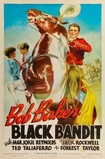 Póster de Black Bandit
