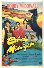 Póster de Black Midnight