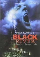Póster de Black River