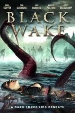 Póster de Black Wake
