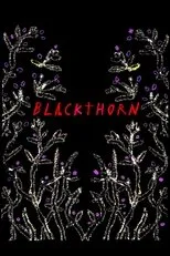 Póster de Blackthorn
