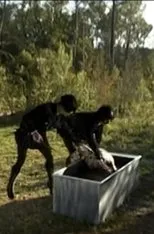 Póster de Body Double 16