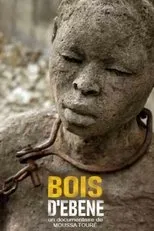 Póster de Bois d'ébène