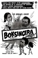 Póster de Boksingera