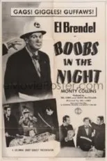 Póster de Boobs in the Night