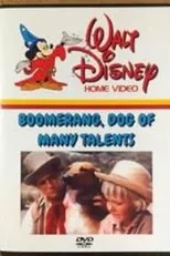 Póster de Boomerang, Dog of Many Talents