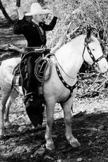 Póster de Border Vengeance