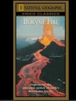 Póster de Born of Fire