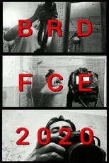 Póster de BRDFCE2020