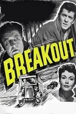 Póster de Breakout