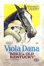 Póster de Bred in Old Kentucky