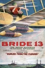 Póster de Bride 13