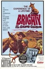 Póster de Brighty of the Grand Canyon