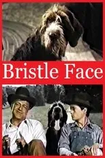 Póster de Bristle Face