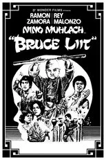 Póster de Bruce Liit