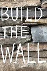 Póster de Build the Wall