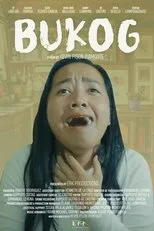 Póster de Bukog