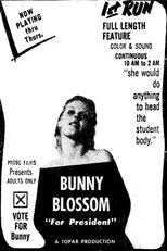 Póster de Bunny Blossom