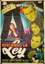 Póster de Burlando la ley