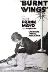 Póster de Burnt Wings