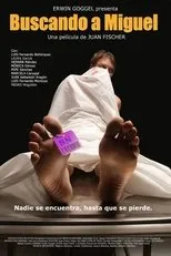 Póster de Buscando a Miguel