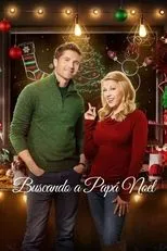 Póster de Buscando a Santa