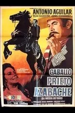 Póster de Caballo prieto azabache