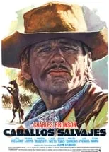 Póster de Caballos salvajes