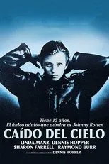 Póster de Caído del cielo
