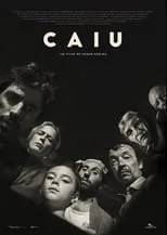 Póster de Caiu