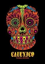 Póster de Calexico Next Exit