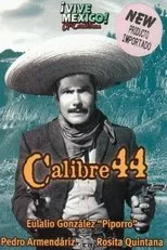 Póster de Calibre 44