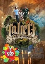 Póster de Calle 13 Festival de Viña del Mar