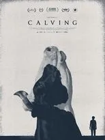 Póster de Calving