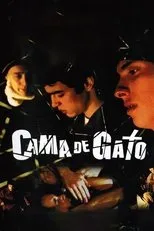 Póster de Cama de Gato