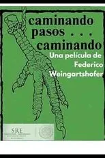 Póster de Caminando pasos... caminando