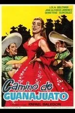 Póster de Camino de Guanajuato
