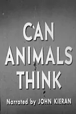 Póster de Can Animals Think