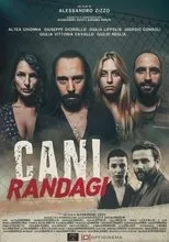 Póster de Cani randagi
