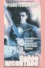 Póster de Cañón recortado