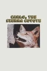 Póster de Carlo the Sierra Coyote