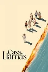 Póster de Casa en llamas