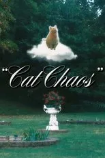 Póster de Cat Chaos